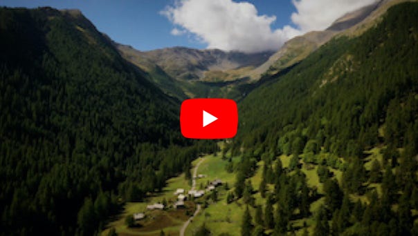 Lire la vidéo
